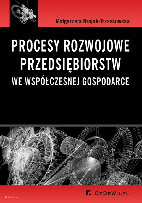 Procesy rozwojowe przedsiębiorstw we współczesnej gospodarce