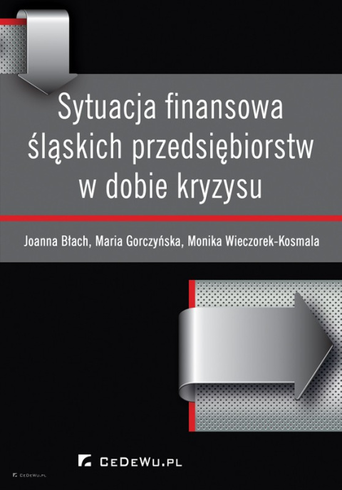 Sytuacja finansowa śląskich przedsiębiorstw w dobie kryzysu