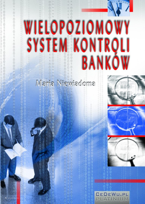 Wielopoziomowy system kontroli banków
